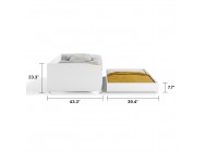 Twin XL Sofa Bed with Trundle