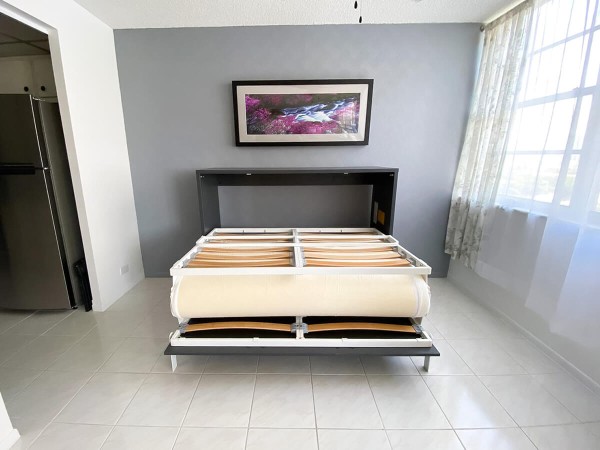 Double Fold Queen Murphy Wall Bed 9