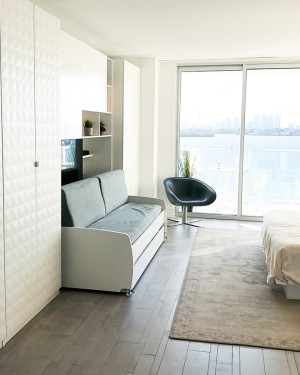 C - Eco Compact Twin/Twin XL Sofa Bed and Cabinets System