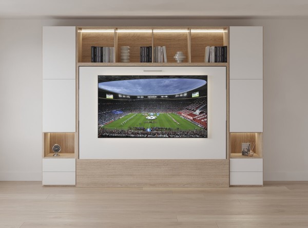 Royal Horizontal Queen Wall Bed with Convertible Wardrobe and Bookcase 1