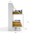 Pensiero Twin Wall Bunk Bed with Desk
