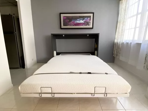 Double Fold Queen Murphy Wall Bed 10