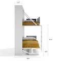 Pensiero Twin Wall Bunk Bed with Desk